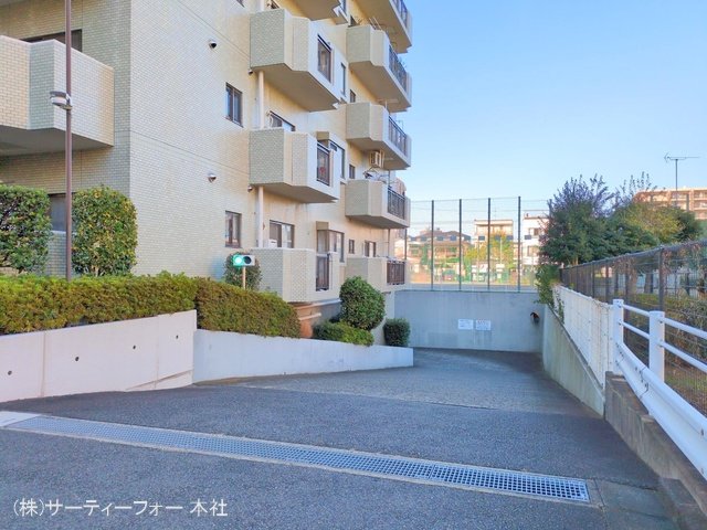 撮影日(2024-11-19 00:00:00)