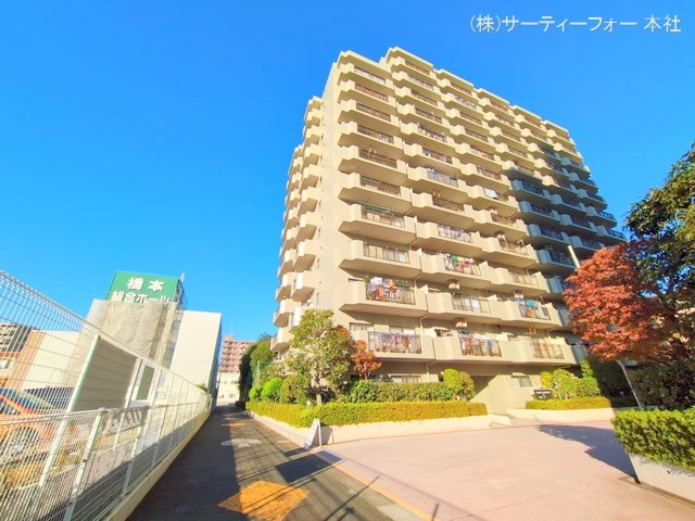 撮影日(2024-11-19 00:00:00)
