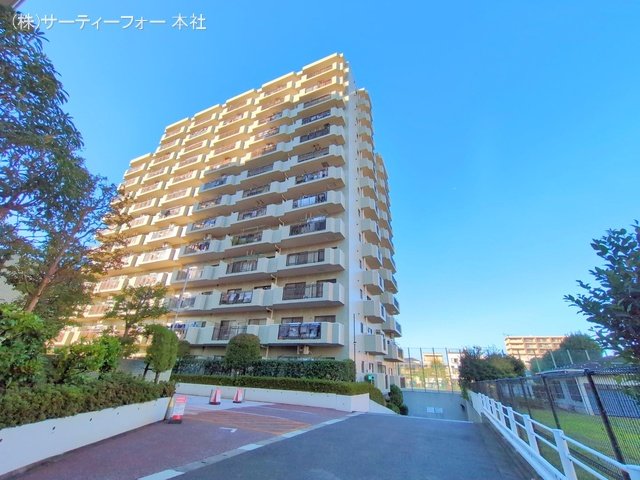 撮影日(2024-11-19 00:00:00)