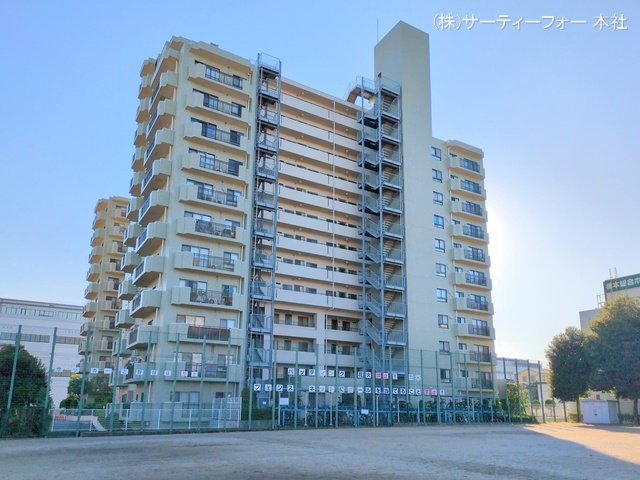 撮影日(2024-11-19 00:00:00)