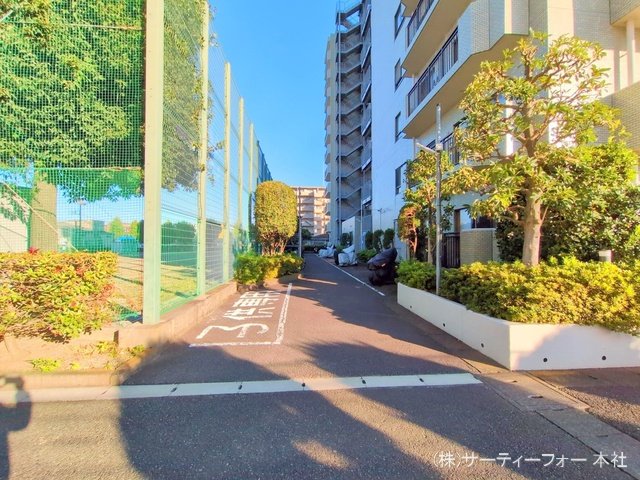 撮影日(2024-11-19 00:00:00)