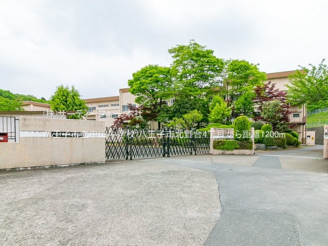 八王子市立中山中学校 撮影日(2022-04-26) 1200m