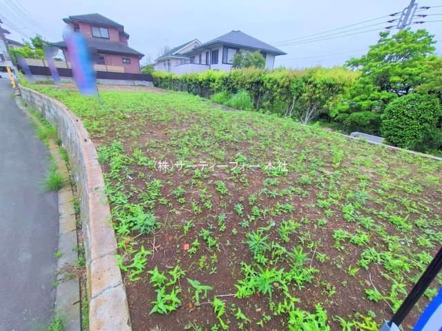 撮影日(2025-05-19 00:00:00)