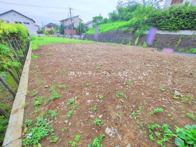 撮影日(2025-05-19 00:00:00)
