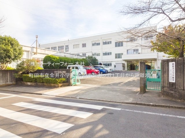 町田市立金井小学校 撮影日(2021-11-18) 230m