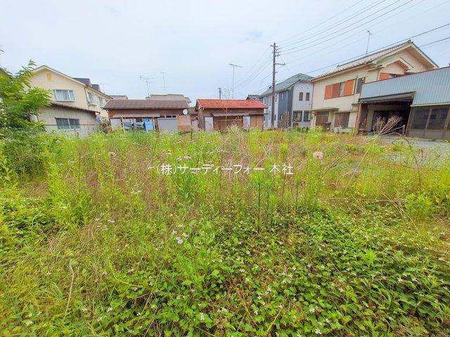 撮影日(2025-05-27 00:00:00)
