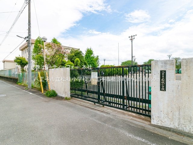 八王子市立松枝小学校 撮影日(2022-04-26) 650m