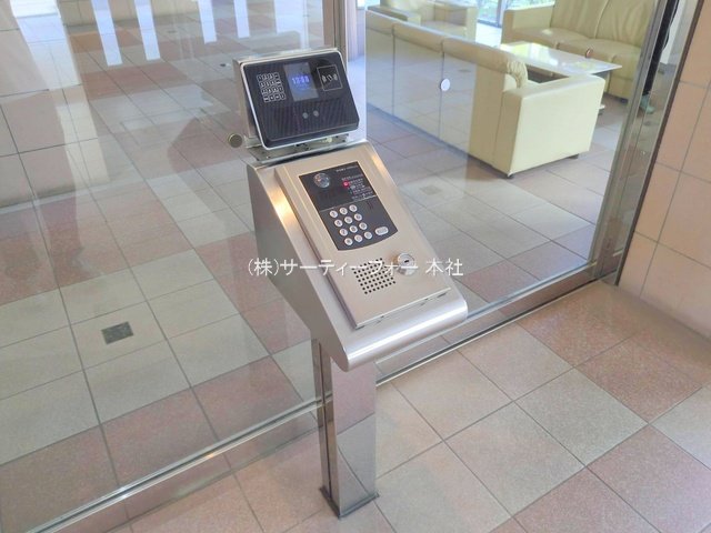 撮影日(2025-04-15 00:00:00)