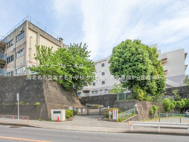海老名市立海老名小学校 撮影日(2023-05-03) 900m