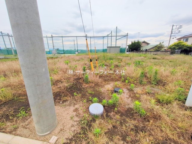 撮影日(2025-05-27 00:00:00)