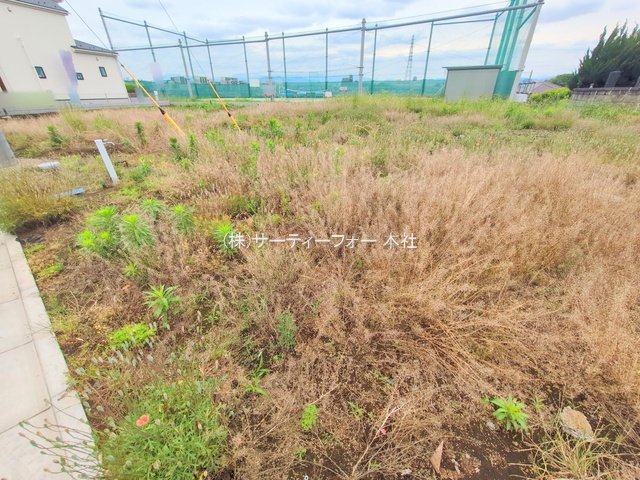 撮影日(2025-05-27 00:00:00)