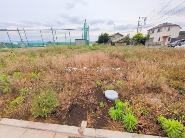 撮影日(2025-05-27 00:00:00)