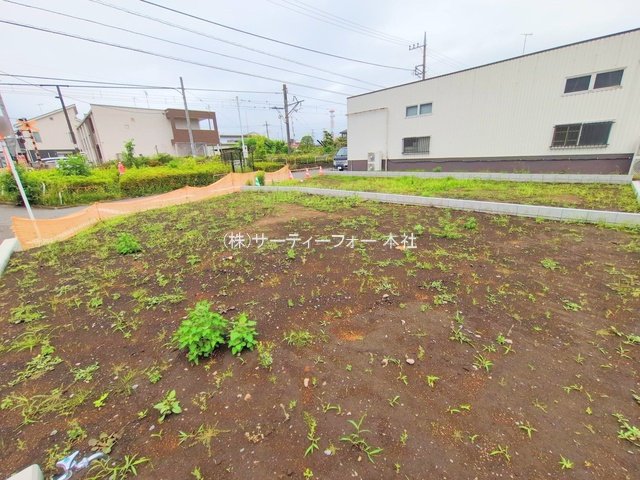 撮影日(2025-06-02 00:00:00)