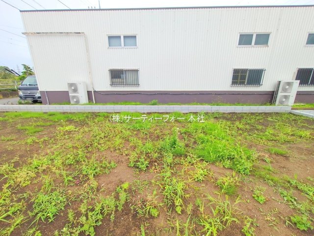 撮影日(2025-06-02 00:00:00)