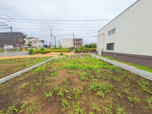 撮影日(2025-06-02 00:00:00)
