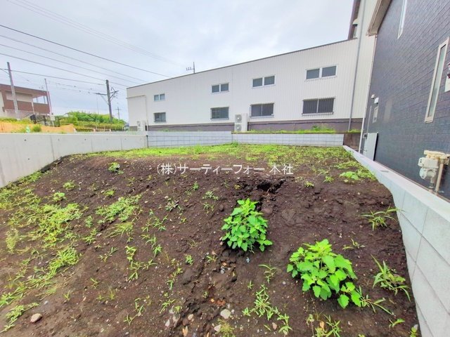 撮影日(2025-06-02 00:00:00)