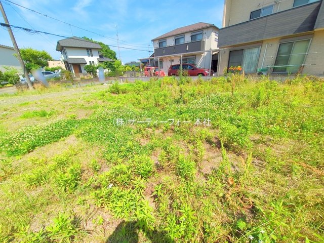 撮影日(2025-06-06 00:00:00)