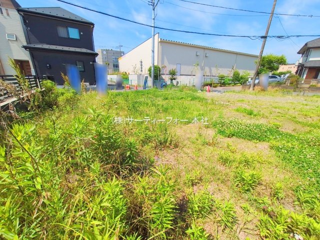 撮影日(2025-06-06 00:00:00)