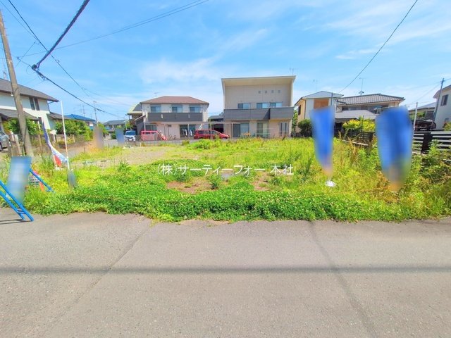 撮影日(2025-06-06 00:00:00)