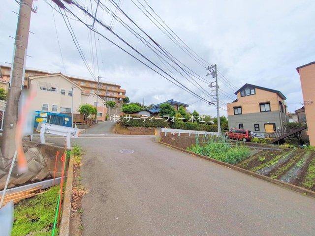 撮影日(2025-05-26 00:00:00)