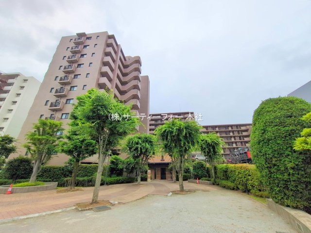 撮影日(2025-06-09 00:00:00)