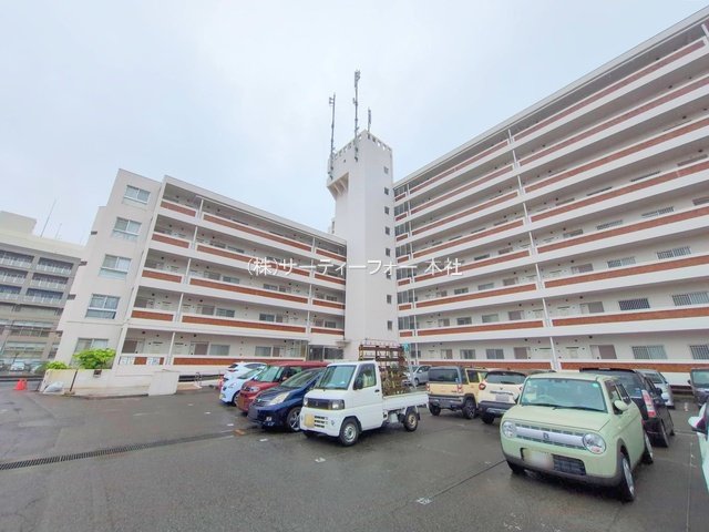 撮影日(2025-06-03 00:00:00)