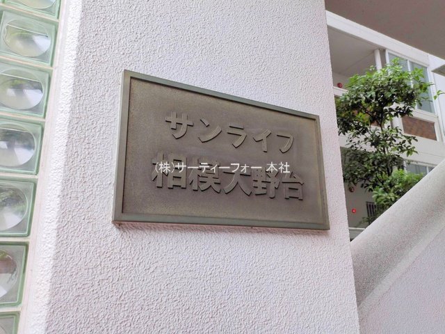 撮影日(2025-06-03 00:00:00)