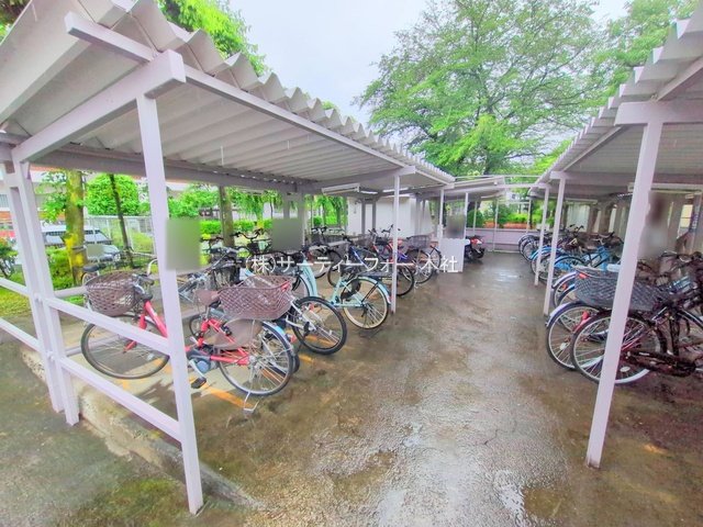撮影日(2025-06-03 00:00:00)