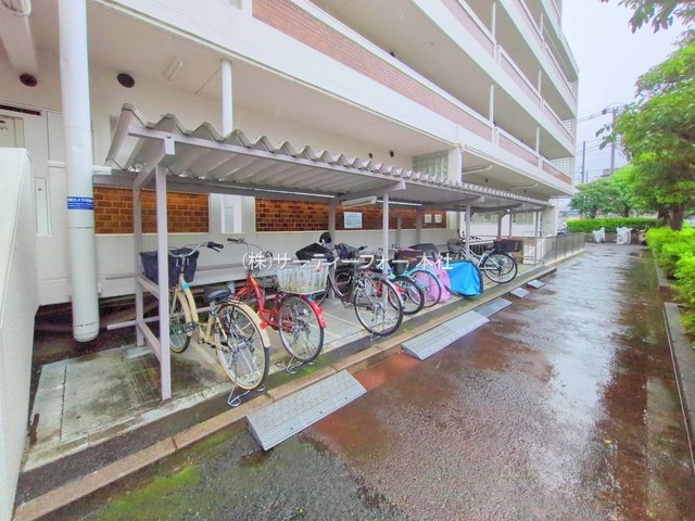 撮影日(2025-06-03 00:00:00)