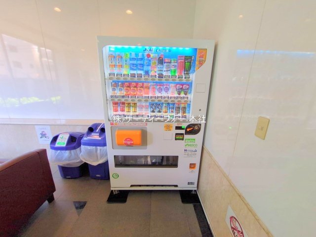 撮影日(2025-06-04 00:00:00)