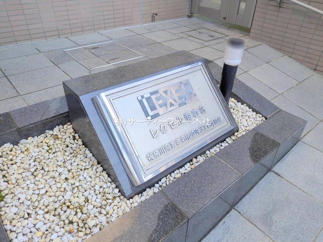 撮影日(2025-06-04 00:00:00)