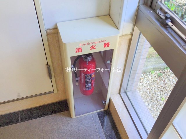 撮影日(2025-06-04 00:00:00)