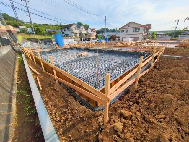 撮影日(2025-06-06 00:00:00)