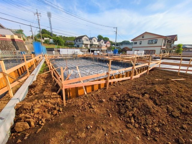 撮影日(2025-06-06 00:00:00)