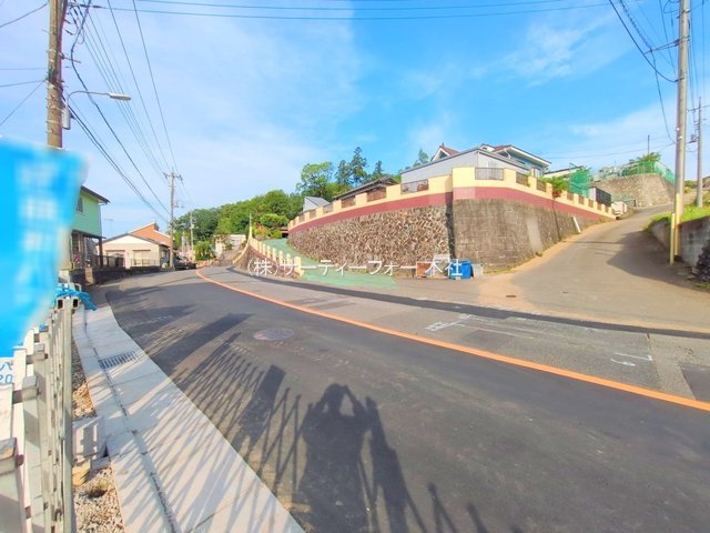 撮影日(2025-06-06 00:00:00)