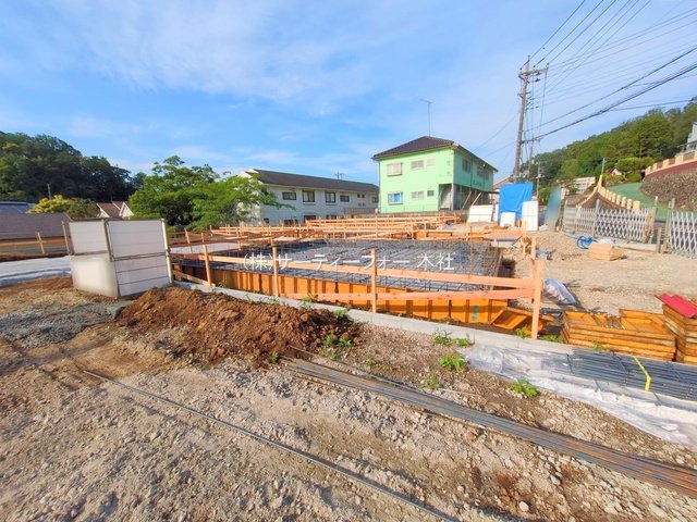 撮影日(2025-06-06 00:00:00)