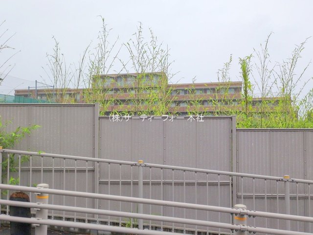 撮影日(2025-06-10 00:00:00)