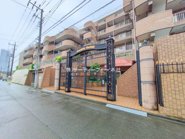 撮影日(2025-06-10 00:00:00)