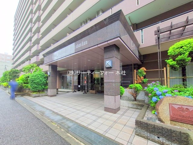 撮影日(2025-06-11 00:00:00)