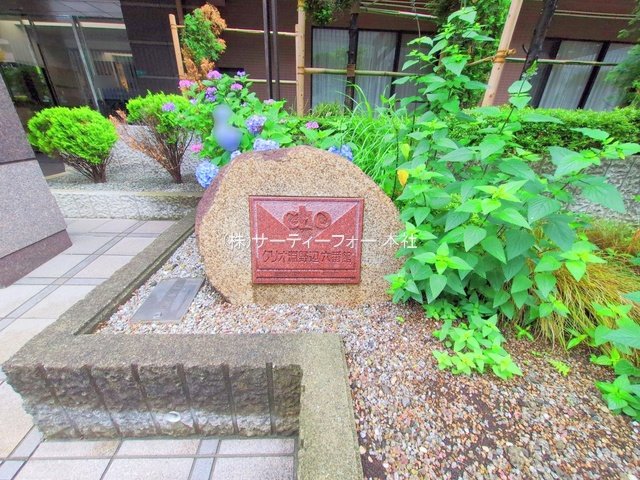 撮影日(2025-06-11 00:00:00)