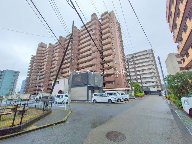撮影日(2025-06-11 00:00:00)