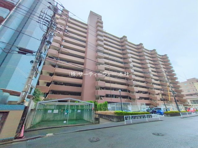 撮影日(2025-06-11 00:00:00)