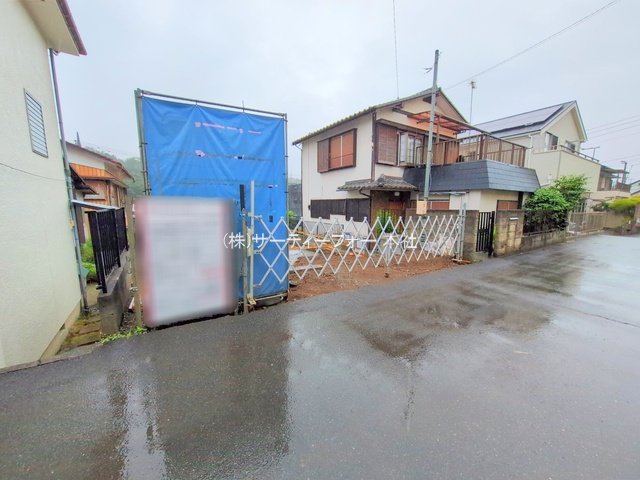 撮影日(2025-06-11 00:00:00)