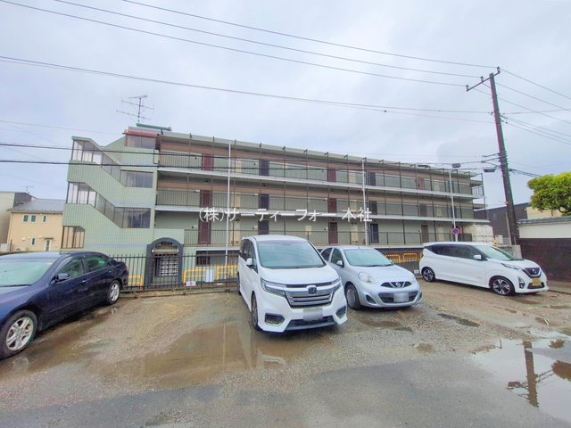 撮影日(2025-05-30 00:00:00)