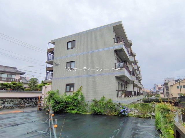撮影日(2025-05-30 00:00:00)