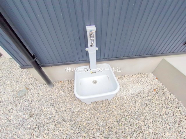 撮影日(2025-06-10 00:00:00)