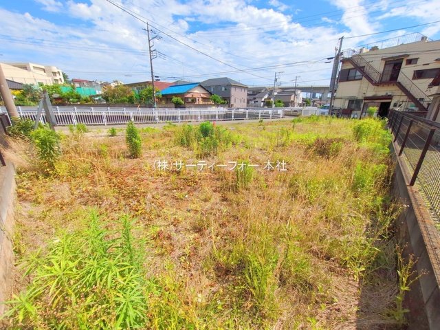 撮影日(2025-06-04 00:00:00)