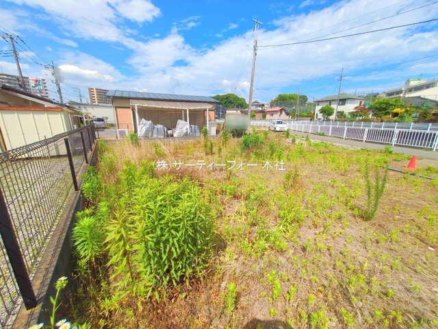 撮影日(2025-06-04 00:00:00)