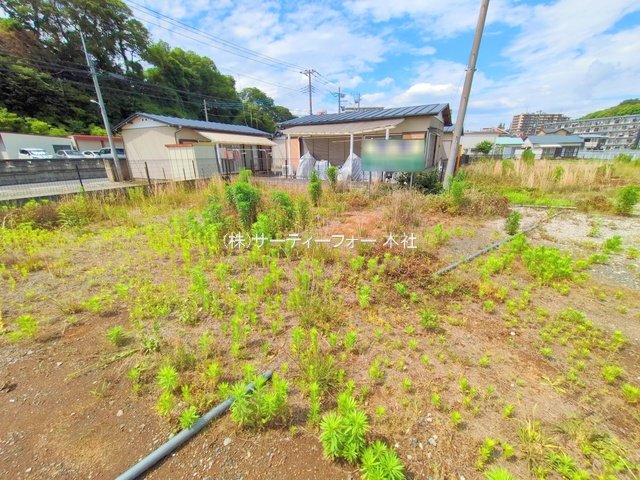 撮影日(2025-06-04 00:00:00)