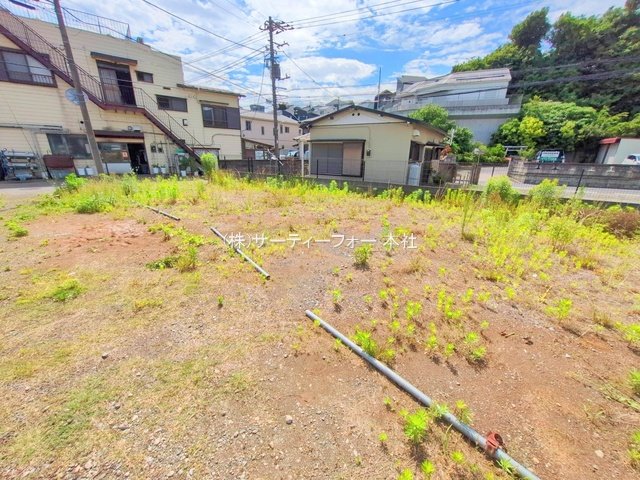 撮影日(2025-06-04 00:00:00)